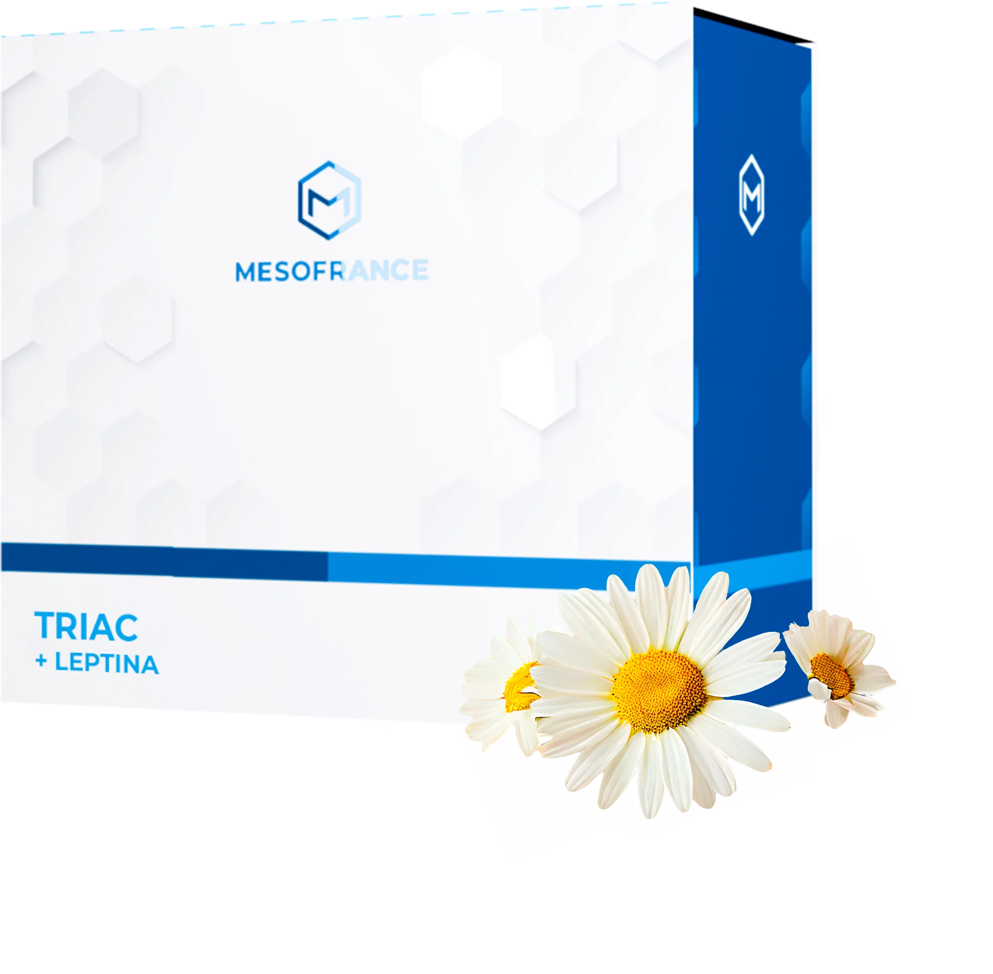 TRIAC + Leptina